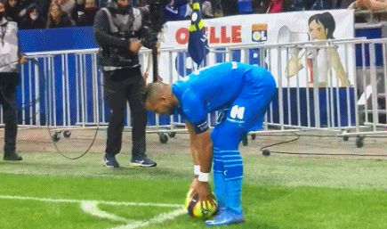 八周导入新 八周导入新